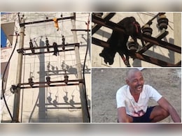 राजस्थान: जयपुर में निर्दयी युवक ने कुत्ते को पैर बांधकर ट्रांसफार्मर पर फेंका, तड़प-तड़पकर हुई मौत