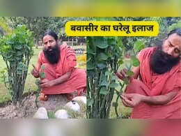 बवासीर का देसी इलाज है नागदोन के पत्ते और ठंडे दूध में नींबू, बाबा रामदेव ने बताया नेचुरली ठीक करने के 5 उपाय