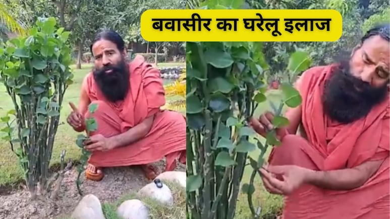 बवासीर का देसी इलाज है नागदोन के पत्ते और ठंडे दूध में नींबू, बाबा रामदेव ने बताया नेचुरली ठीक करने के 5 उपाय