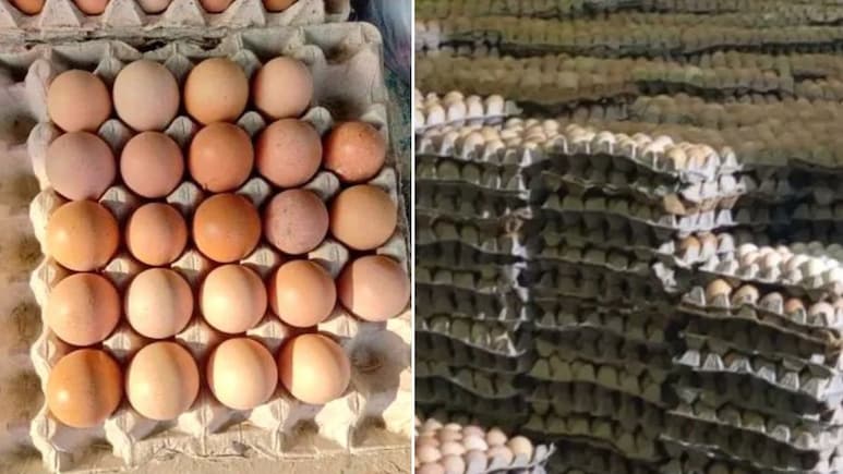 सफेद अंडों को रंगकर बना देते थे देसी अंडा... UP में पकड़ा गया गजब का फर्जीवाड़ा, हजारों अंडे जब्त