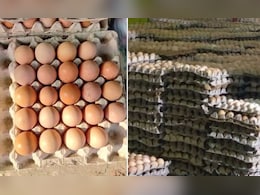 अयोध्या में ऑनलाइन नॉनवेज पर भी बैन, जान लीजिए क्या है पीछे की कहानी