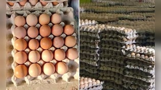 अयोध्या में ऑनलाइन नॉनवेज पर भी बैन, जान लीजिए क्या है पीछे की कहानी