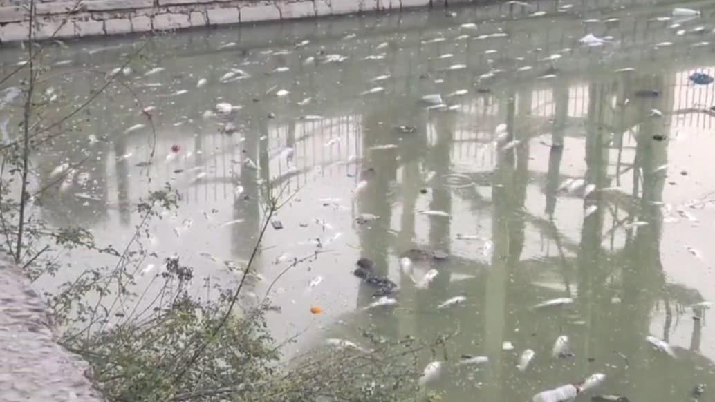 Latest and Breaking News on NDTV Latest and Breaking News on NDTV