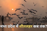 एमपी में अब पड़ेगी कड़ाके की ठंड! IMD ने कहां के ल‍िए जारी की शीतलहर की चेतावनी?