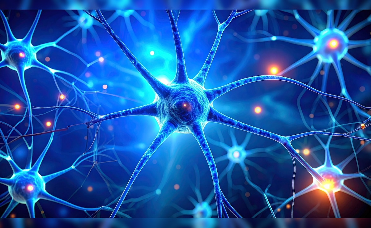 डार्क चॉकलेट और बेरीज याददाश्त बढ़ाने और तनाव कम करने में मददगार: स्टडी