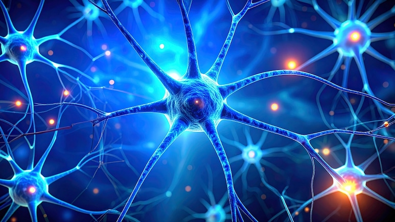 डार्क चॉकलेट और बेरीज याददाश्त बढ़ाने और तनाव कम करने में मददगार: स्टडी