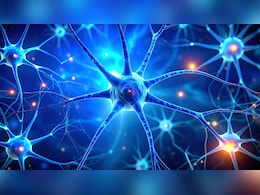 डार्क चॉकलेट और बेरीज याददाश्त बढ़ाने और तनाव कम करने में मददगार: स्टडी डार्क चॉकलेट और बेरीज याददाश्त बढ़ाने और तनाव कम करने में मददगार: स्टडी