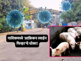 Nashik News: नाशिकमध्ये 'आफ्रिकन स्वाईन फिव्हर'चे संकट! 10 किमी परिसरात कडक निर्बंध लागू