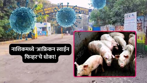 Nashik News: नाशिकमध्ये 'आफ्रिकन स्वाईन फिव्हर'चे संकट! 10 किमी परिसरात कडक निर्बंध लागू