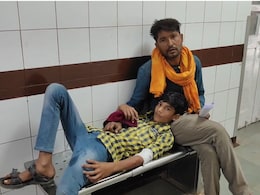 Dog Bite: शिवपुरी में आवारा कुत्तों के आतंक से मचा हाहाकार, बच्चों समेत एक साथ 15 लोगों को किया लहूलुहान