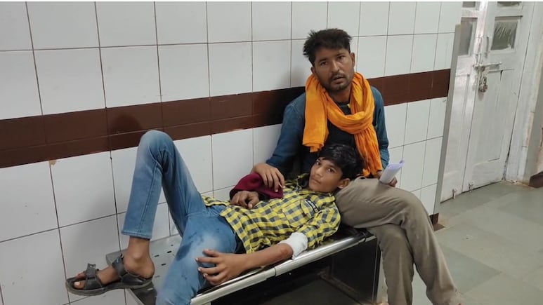 Dog Bite: शिवपुरी में आवारा कुत्तों के आतंक से मचा हाहाकार, बच्चों समेत एक साथ 15 लोगों को किया लहूलुहान