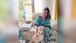Urvashi Dholakia Slams Trolls Questioning Her Love For Stray Dogs After Supreme Court's Order: "Show Some Humanity"