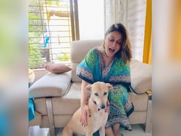 Urvashi Dholakia Slams Trolls Questioning Her Love For Stray Dogs After Supreme Court's Order: "Show Some Humanity"