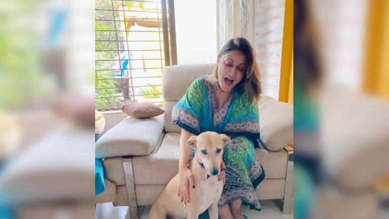 Urvashi Dholakia Slams Trolls Questioning Her Love For Stray Dogs After Supreme Court's Order: "Show Some Humanity"