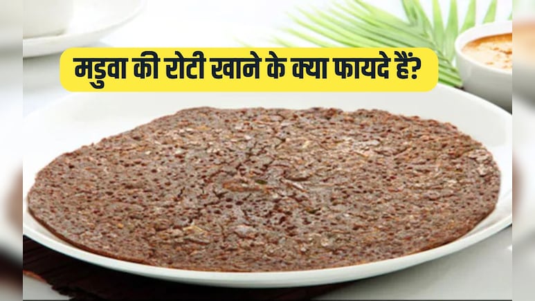 मडवा में कौन सा विटामिन पाया जाता है? मडुआ की रोटी खाने के फायदे जान हो जाएंगे हैरान, यह है हर बीमारी का इलाज