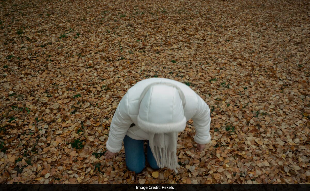Chinese Girl's Poverty Struggles Spark Nationwide Concern