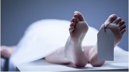 Rajasthan: अजमेर में 'पीर बाबा' मजार की हरी चादर से फंदा बनाकर युवक ने की खुदकुशी, परिजन बोले- मोबाइल चलाने पर डांटा था