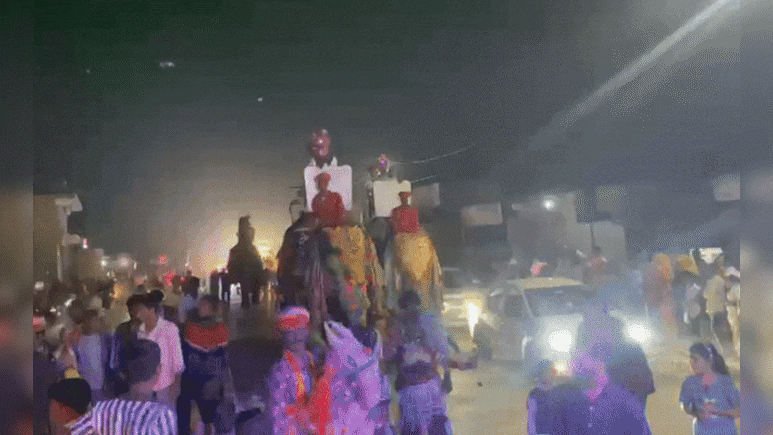 Unique Wedding: भोपालगढ़ में साटिया दूल्हों की हाथी पर निकली शाही बंदोली, घोड़ों ने खींची बग्घी, ऊंट ने किया डांस