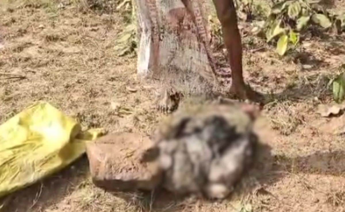 Latest and Breaking News on NDTV Latest and Breaking News on NDTV