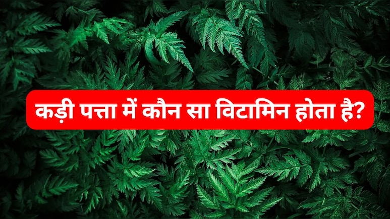 कड़ी पत्ता में कौन सा विटामिन होता है?