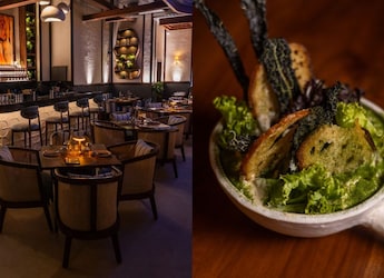 Novy Opens In Gurugram And Shows How India Wants To Eat Today