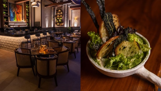 Novy Opens In Gurugram And Shows How India Wants To Eat Today