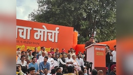 Raj Thackeray Joins Opposition Alliance In "March For Truth"