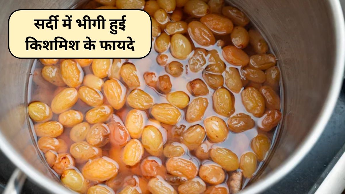 सर्दियों में रोज भीगी हुई किशमिश खाने से क्या होता है? एनर्जी से लेकर आयरन तक रहेगा बूस्ट, स्टडी से जानिए 5 फायदे