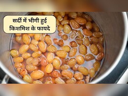 सर्दियों में रोज भीगी हुई किशमिश खाने से क्या होता है? एनर्जी से लेकर आयरन तक रहेगा बूस्ट, स्टडी से जानिए 5 फायदे