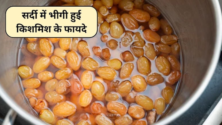 सर्दियों में रोज भीगी हुई किशमिश खाने से क्या होता है? एनर्जी से लेकर आयरन तक रहेगा बूस्ट, स्टडी से जानिए 5 फायदे