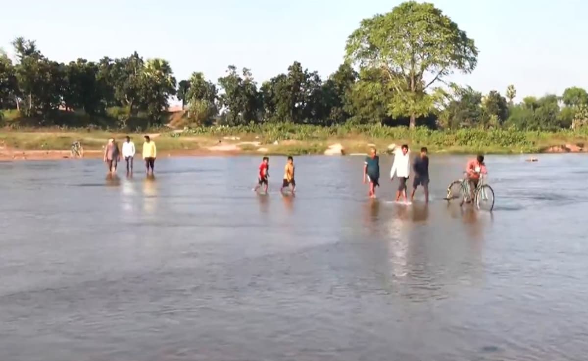 'No Bridge, No Vote': 77 Years On, Bihar Villagers Risk Lives To Cross River