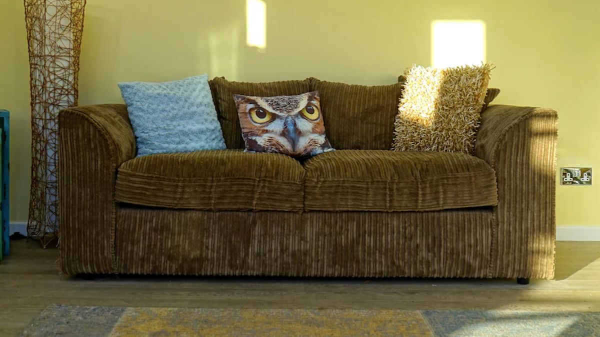 How to Choose Sofa-Cum-Bed: Choose Non-Sagging, Space-Saving Designs for Modern Home