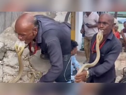 कोबरा को किस करते 'चाचा' को पब्लिक ने घेरा, वीडियो मचा रहा बवाल, लोग बोले- आखिर कौन किसको डस रहा है