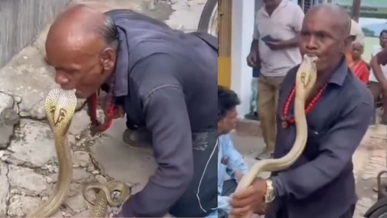 कोबरा को किस करते 'चाचा' को पब्लिक ने घेरा, वीडियो मचा रहा बवाल, लोग बोले- आखिर कौन किसको डस रहा है