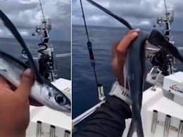 हर्ष गोयनका ने पहली बार देखी 'उड़ने वाली मछली', IFS अधिकारी ने बताया असली सच, कहा - सब AI का कमाल