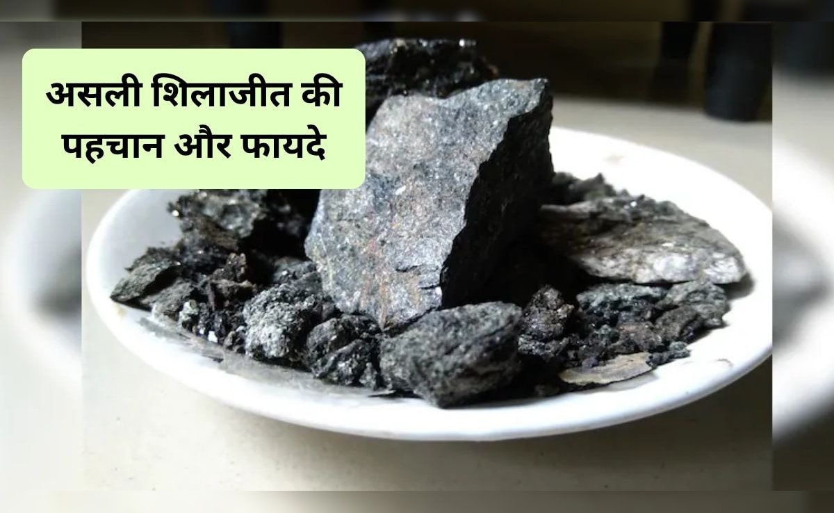 असली शिलाजीत की पहचान क्या है? इन 3 तरीकों से घर पर ही लगाएं पता, एक्सपर्ट से जानिए शिलाजीत से शरीर के कौन से अंग को मिलेगा फायदा