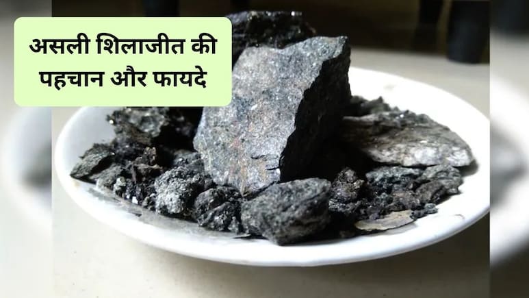 असली शिलाजीत की पहचान क्या है? इन 3 तरीकों से घर पर ही लगाएं पता, एक्सपर्ट से जानिए शिलाजीत से शरीर के कौन से अंग को मिलेगा फायदा