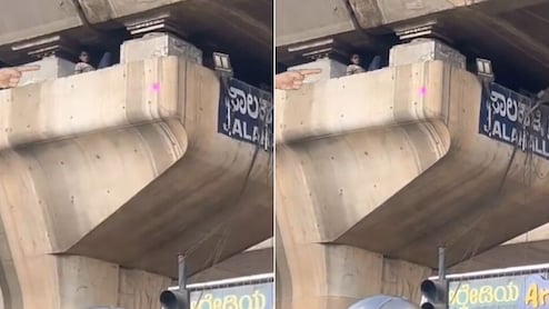 फ्लाईओवर के खंभे के अंदर सोता मिला शख्स, वायरल Video देख लोग हैरान, बोले- यह कैसे संभव है?