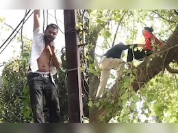 इंदौर में हाईवोल्टेज ड्रामा VIDEO! खुद पर डाला मिट्टी का तेल, युवक ने की गला काटने की कोशिश, युवती पेड़ पर चढ़ी