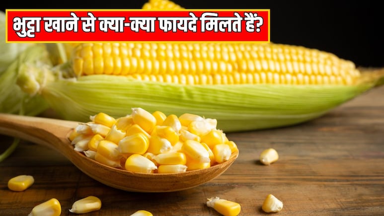 भुट्टा खाने से कौन सा विटामिन मिलता है? आयुर्वेदिक डॉक्टर ने बताया कब्ज होने पर Corn कैसे खाएं