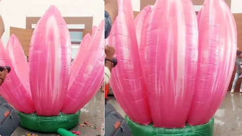 शादी में एंट्री का 'ब्लॉकबस्टर मोमेंट',कमल के अंदर से निकली ऐसी चीज,देख लोग बोले-फिल्मों को भी पीछे छोड़ दिया