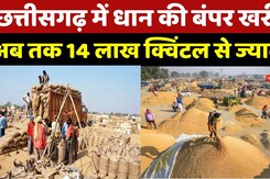 Chhattisgarh Dhan Kharidi: 14 लाख से ज्यादा... धान की बंपर खरीदी | Farmers | Bardana | Rice | Latest