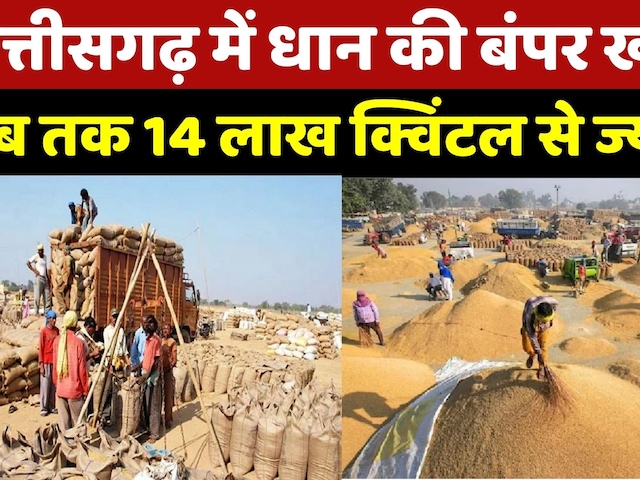Chhattisgarh Dhan Kharidi: 14 लाख से ज्यादा... धान की बंपर खरीदी | Farmers | Bardana | Rice | Latest
