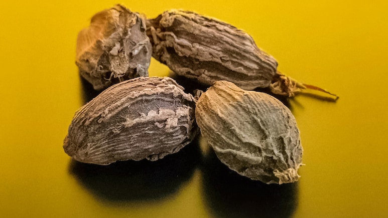 5 Health Benefits Of Badi Elachi Or Black Cardamom