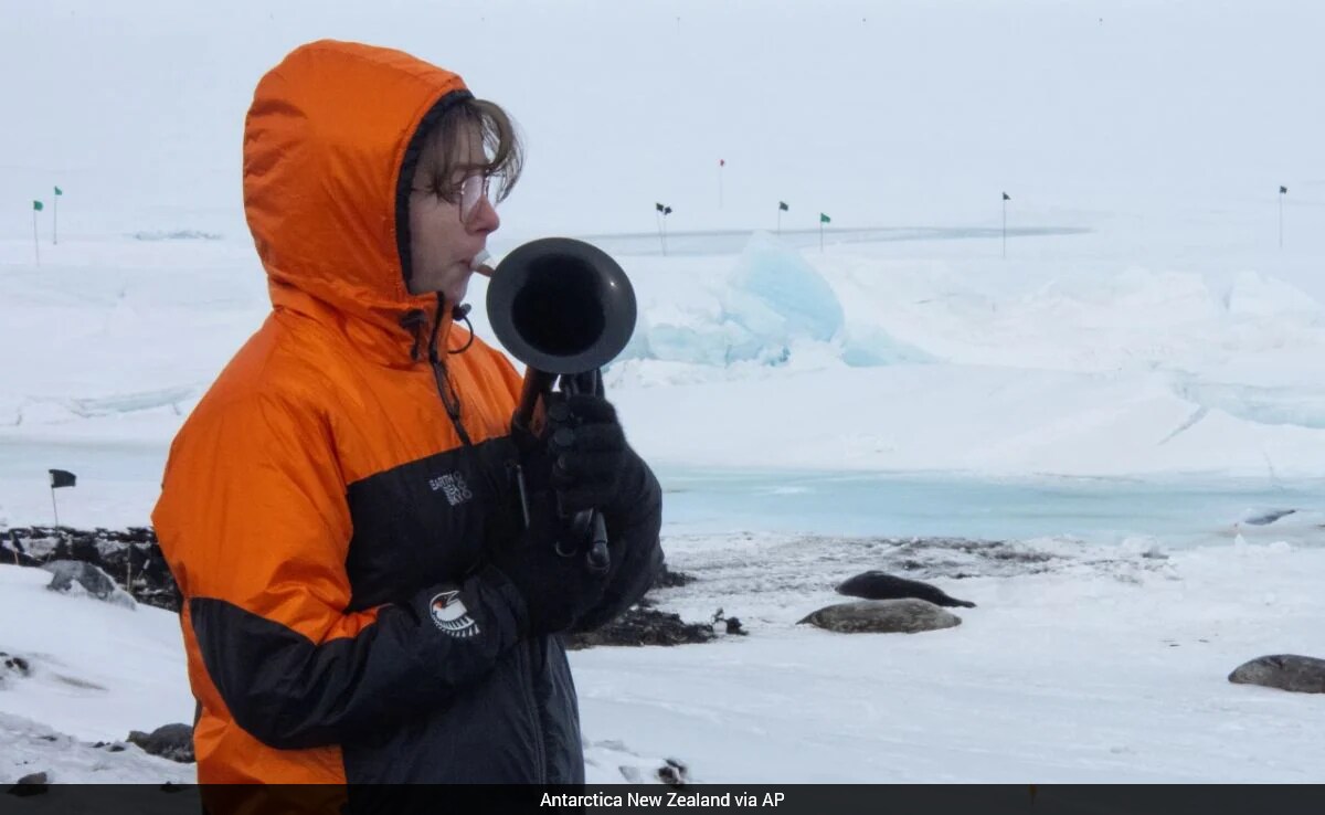 Musician Plays in Antarctica's Extreme Cold