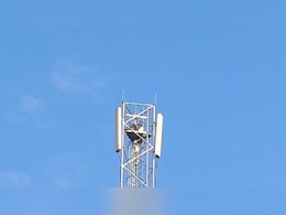 "शादी पक्की कराओ तभी टावर से उतरूंगा नीचे..." रातभर टावर पर चढ़ हाईवोल्टेज ड्रामा करता रहा सनकी आशिक