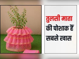 इस साल तुलसी विवाह बनाएं खास, घर की तुलसी माता को पारंपरिक पोशाक से कुछ इस तरह सजाएं