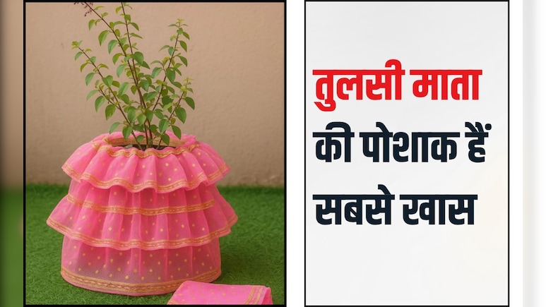 इस साल तुलसी विवाह बनाएं खास, घर की तुलसी माता को पारंपरिक पोशाक से कुछ इस तरह सजाएं इस साल तुलसी विवाह बनाएं खास, घर की तुलसी माता को पारंपरिक पोशाक से कुछ इस तरह सजाएं