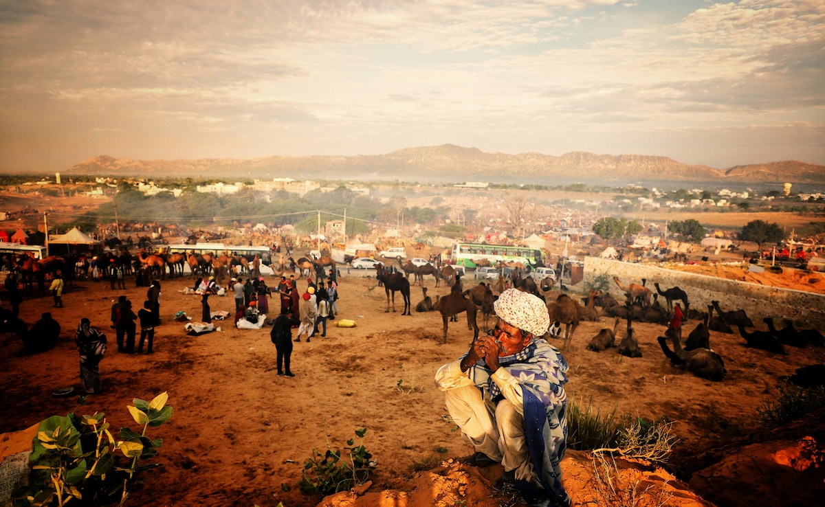 Latest and Breaking News on NDTV Latest and Breaking News on NDTV