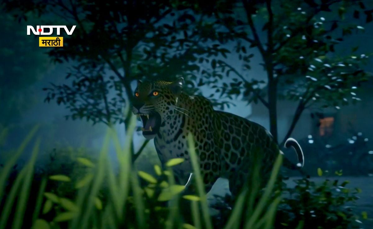 Latest and Breaking News on NDTV